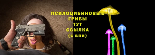 Альфа ПВП Алексин