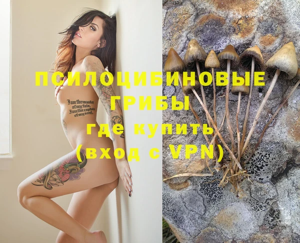 Альфа ПВП Алексин