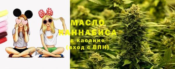 тгк Новодвинск