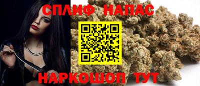 мдпв Моздок