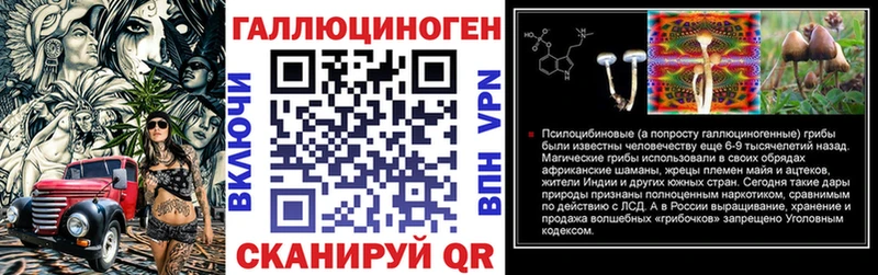Псилоцибиновые грибы Psilocybe  хочу   Петрозаводск 