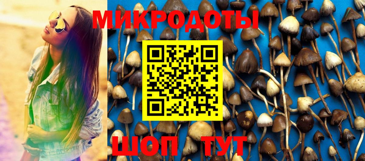 Петрозаводск  Галлюциногенные грибы MAGIC MUSHROOMS  Вход с VPN 