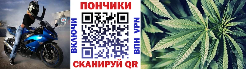 Шишки марихуана марихуана  Петрозаводск 